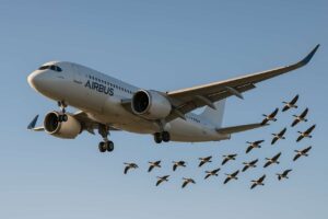5 % d&rsquo;économies de carburant” : Airbus s’inspire des oies migratrices pour réduire les émissions de CO2
